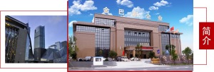 公司介绍