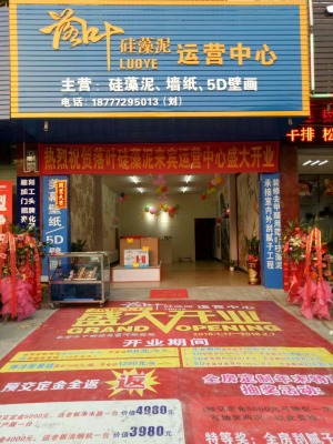 公司介绍