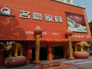 公司介绍