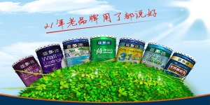 公司介绍