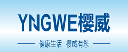 公司介绍