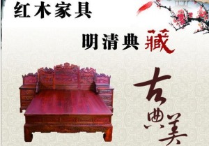 公司介绍