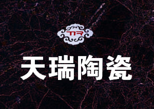 公司介绍