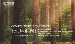 公司介绍