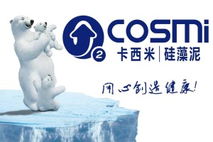 公司介绍