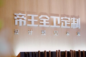 公司介绍