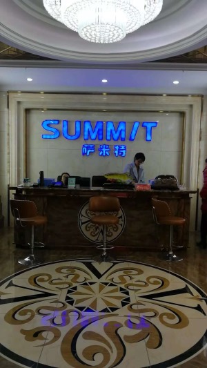公司介绍